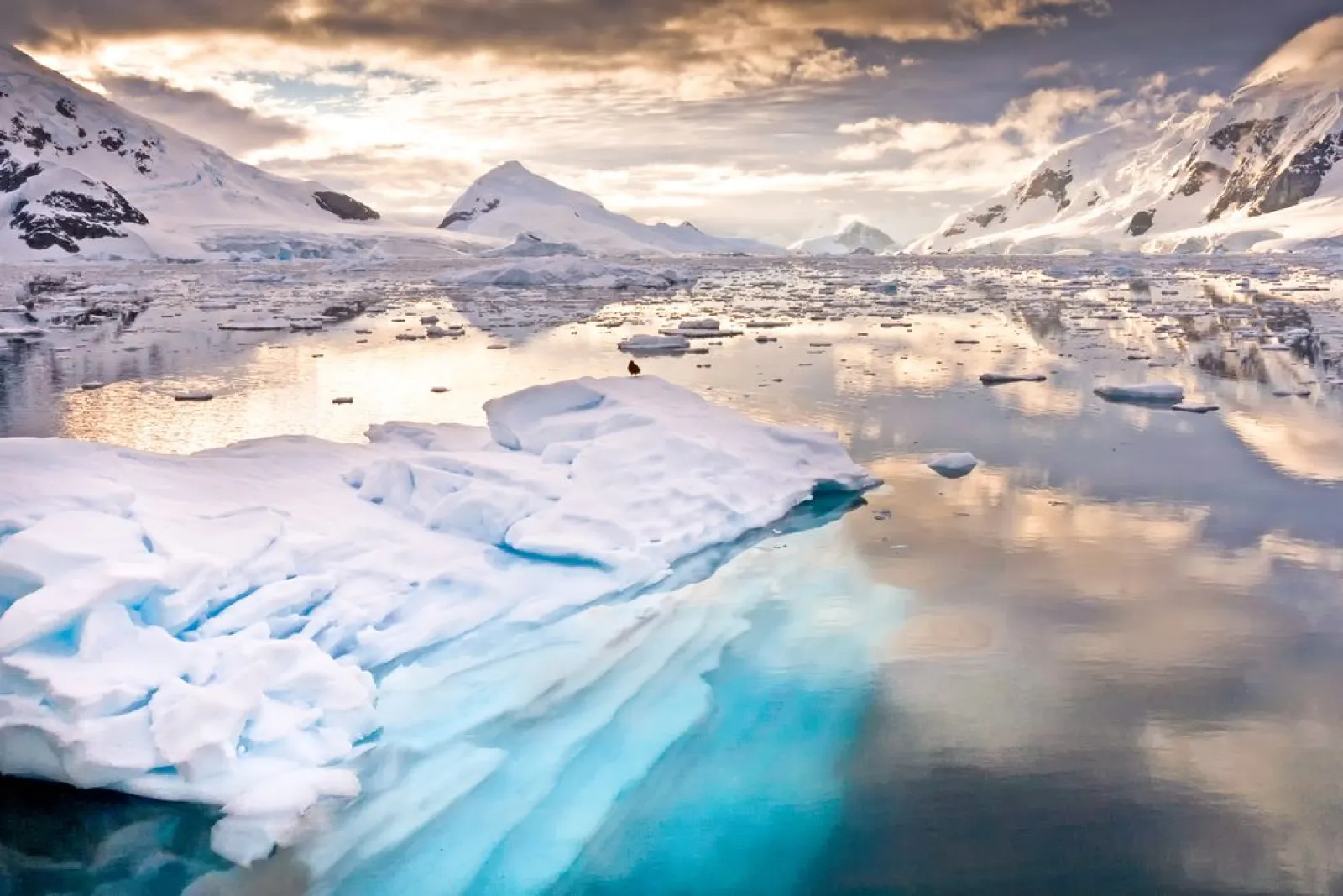 Antarctic Peninsula, 14 Days