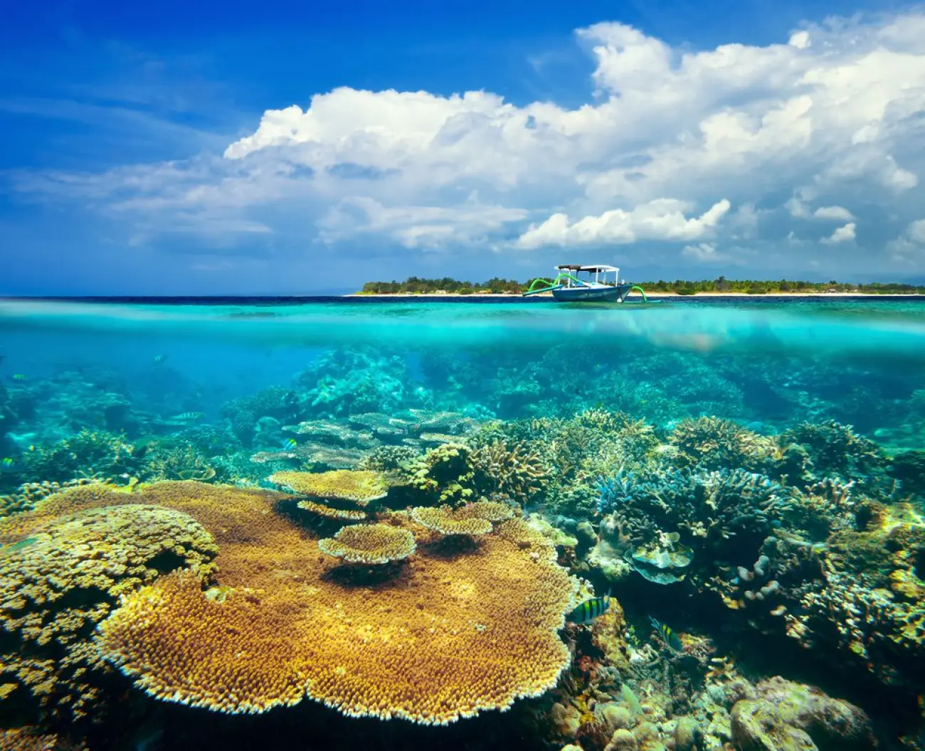 Flores to Komodo, Bali, 7 Days