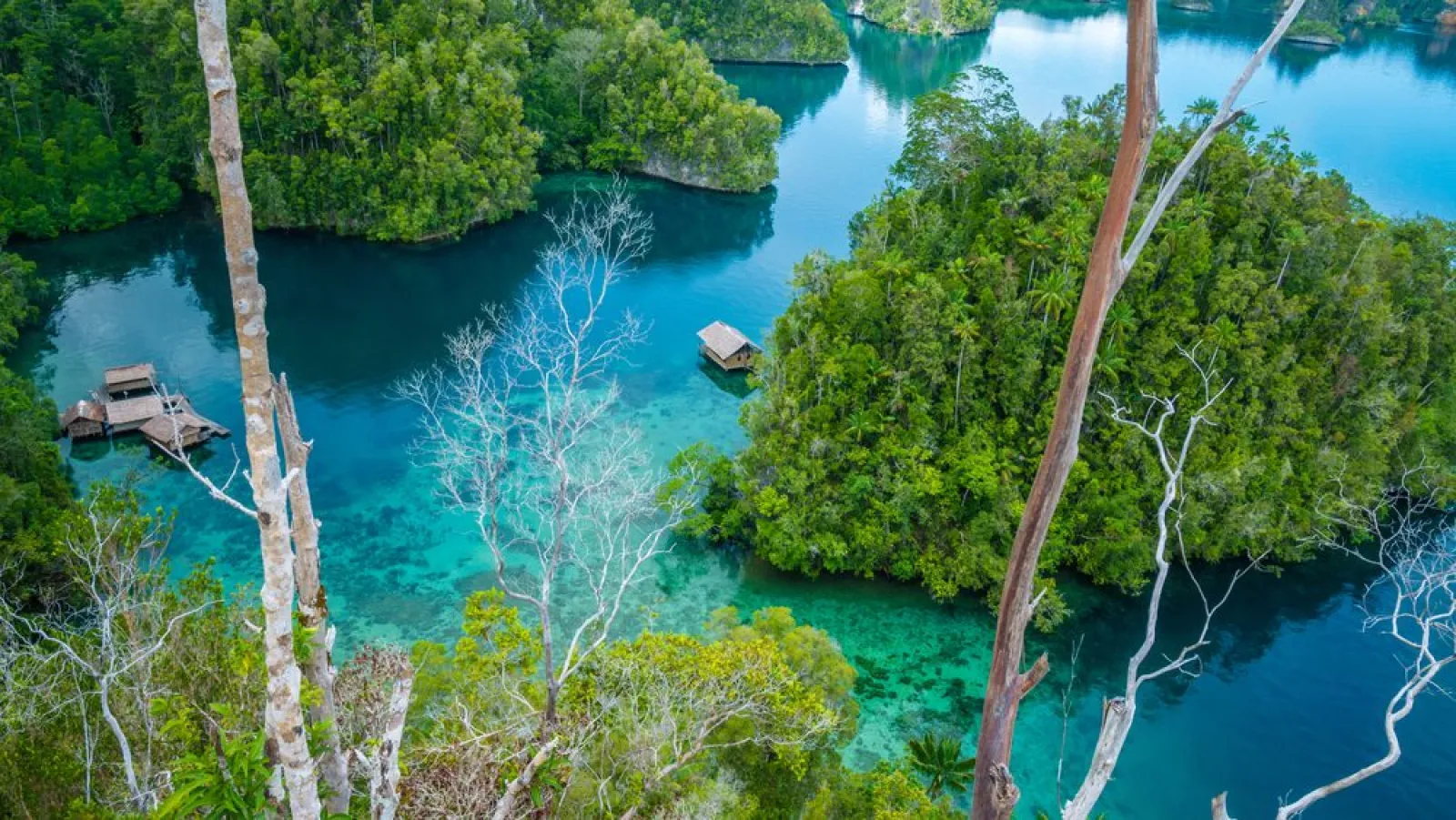 Raja Ampat Archipelago, 10 Days