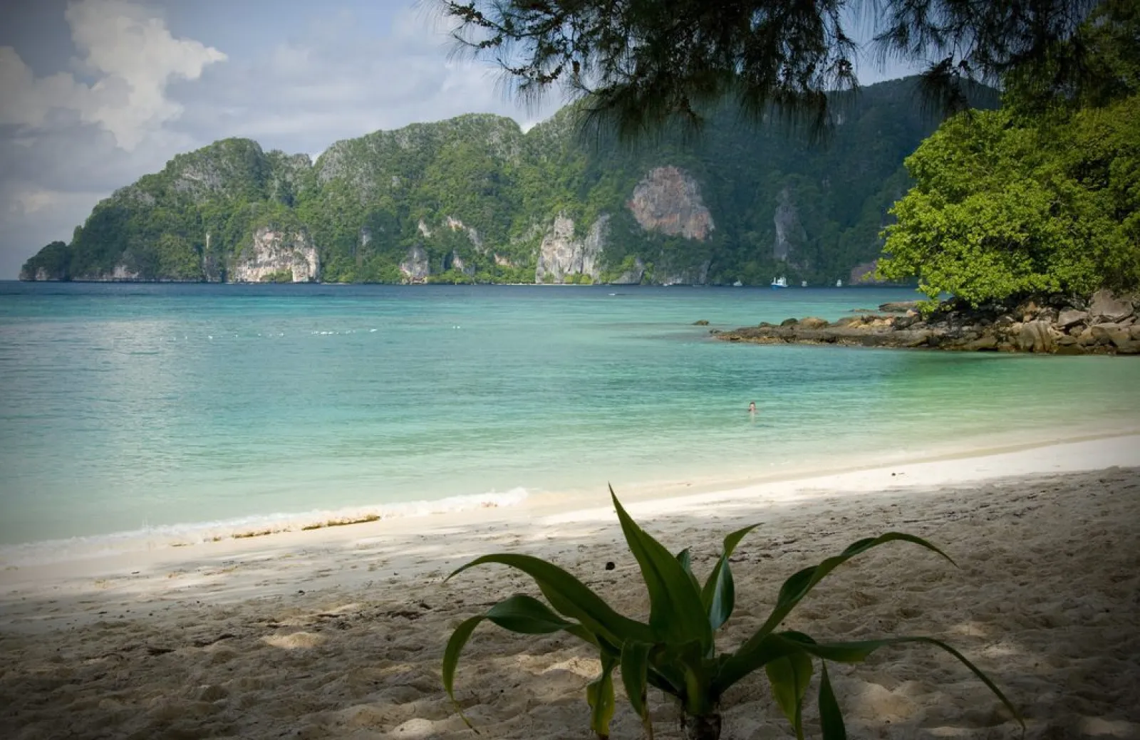 Must visit places when you are sailing in Thailand: Phi Phi Islands