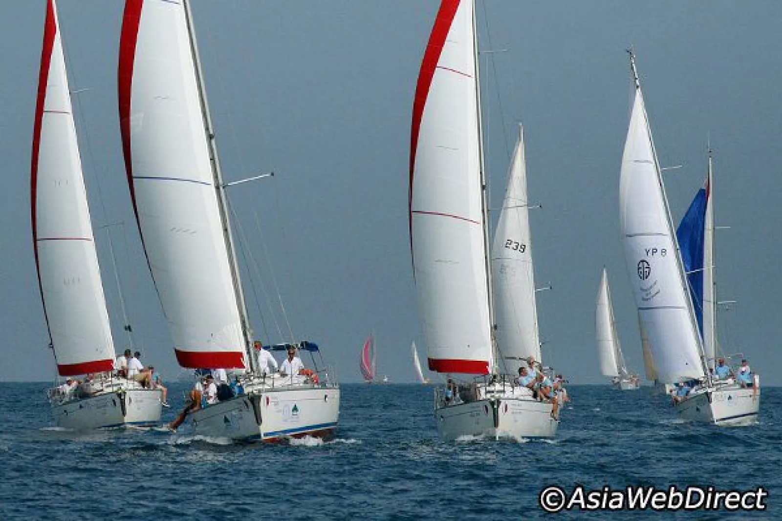 Yacht Racing tips for sailing holidays during The Bay Regatta