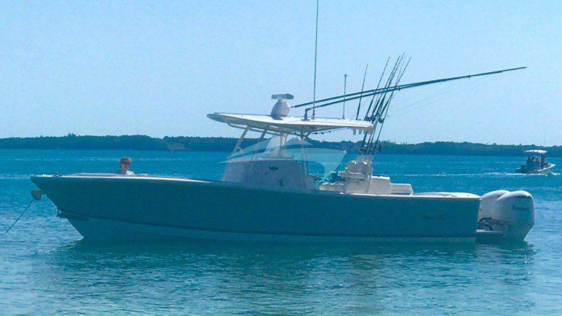 Aqua Life