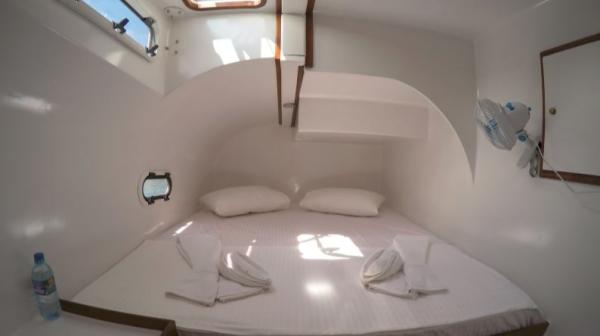Ceycat 53 photo 6