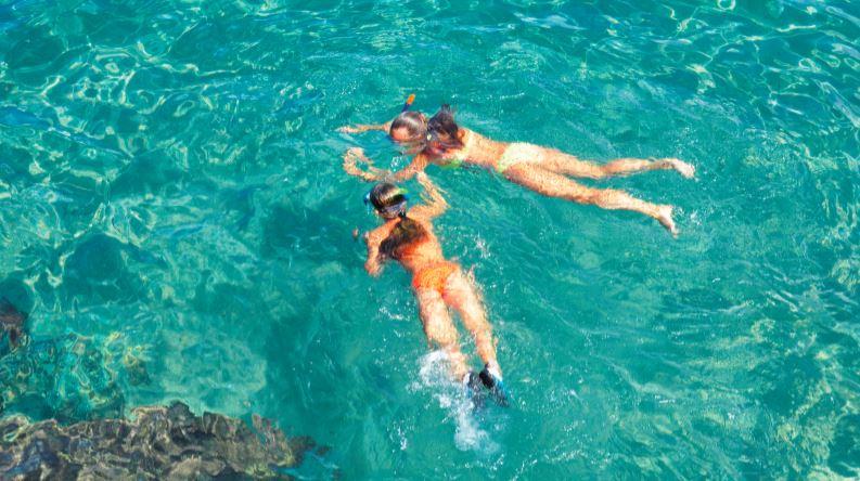 Ceycat 53