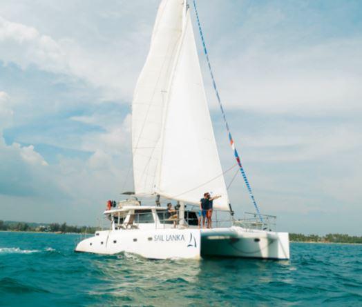 Ceycat 53