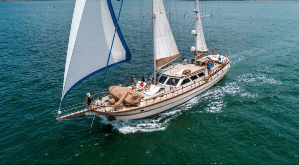 Lady Lorraine 99 photo 2