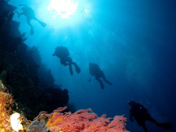 Manta Mae photo 15