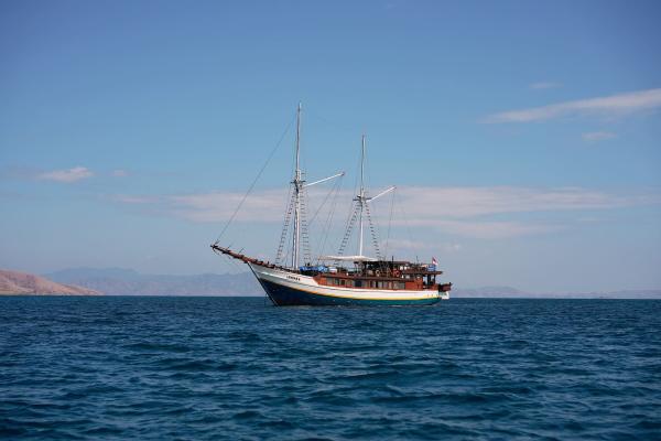 Nayara Cruise photo 1