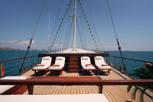 Nayara Cruise photo 7