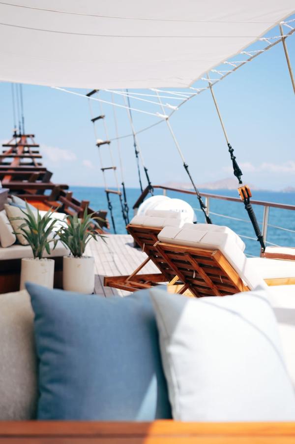 Nayara Cruise photo 8