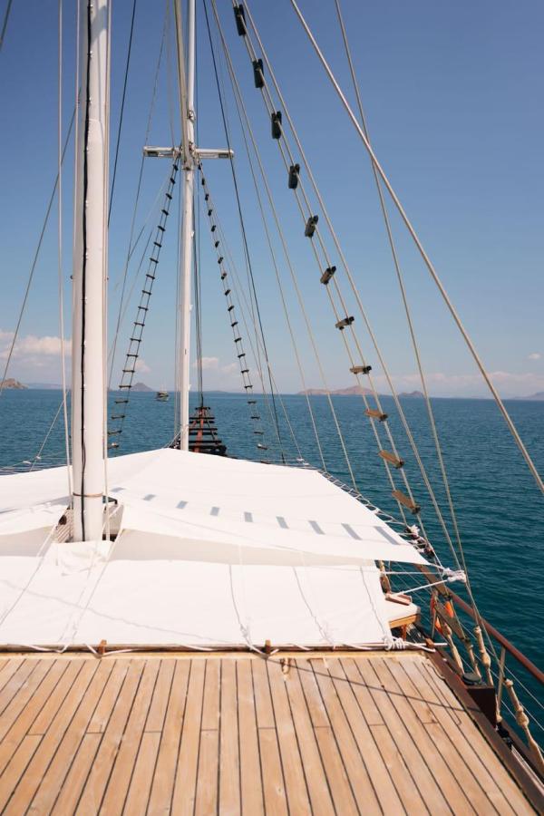 Nayara Cruise photo 10