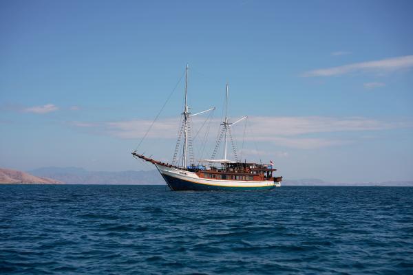 Nayara Cruise photo 29