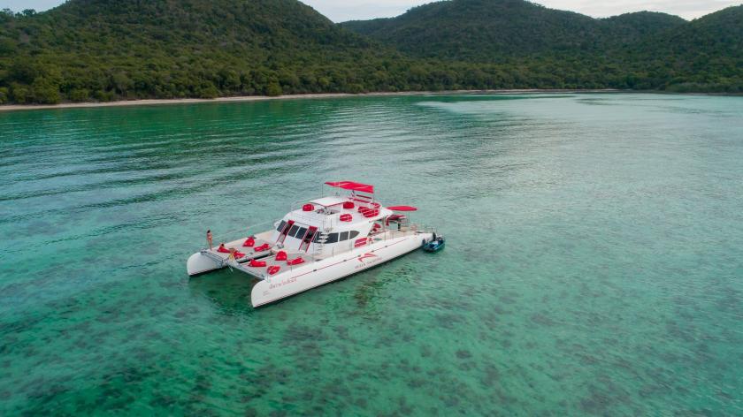 Ocean Catamaran