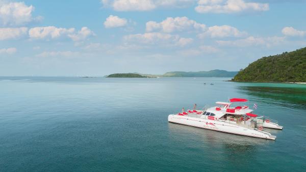 Ocean Catamaran photo 4
